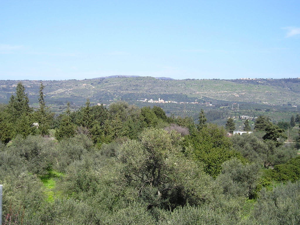 Villa Aloni Fílippos 객실 사진