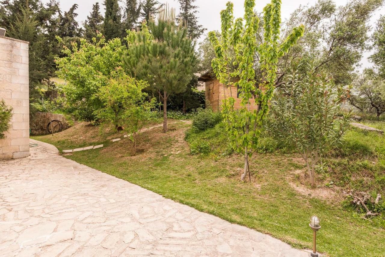 Villa Aloni Fílippos 외부 사진